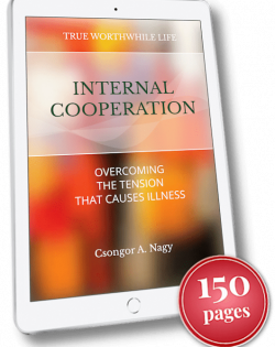 internal-cooperation-II-ebook-150-pages-11